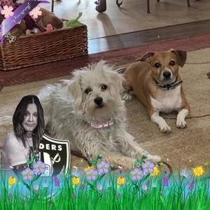 Meet your Posher, Donna